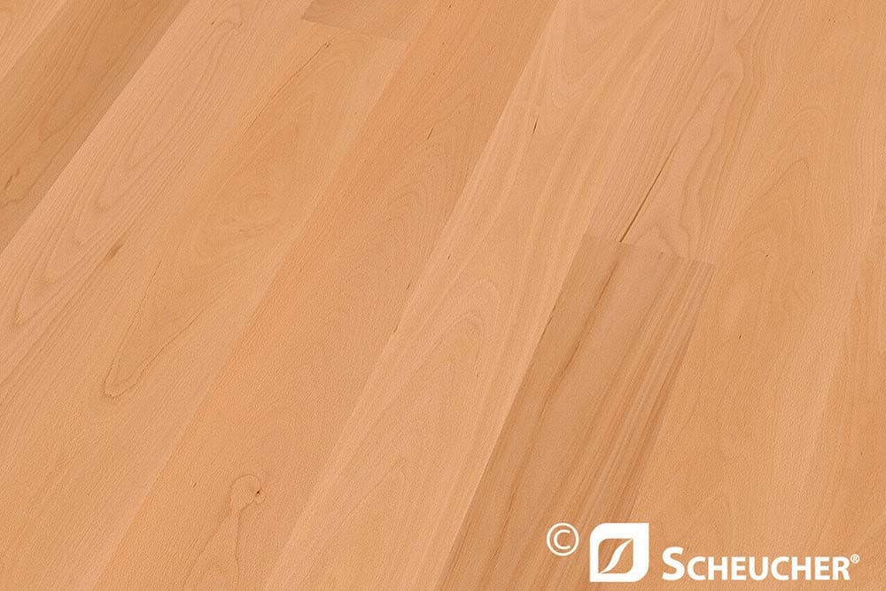 Buche Landhausdiele