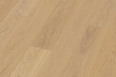 Scheucher nebla Eiche